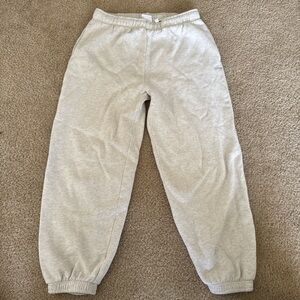 Aritzia Sweatpants TNA